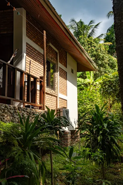 Zen Forest - Image 1