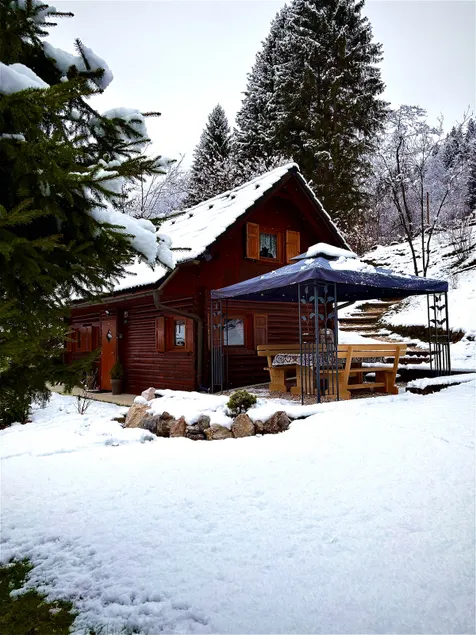 Cottage Ladybug - Image 1