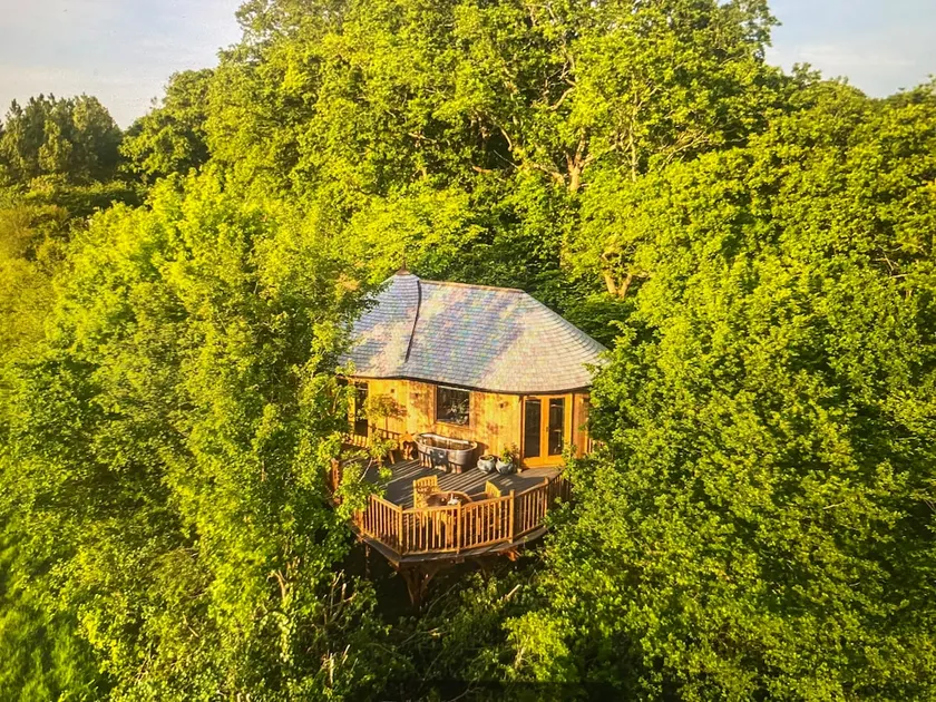 Luxurious, stunning, treehouse - Image 1