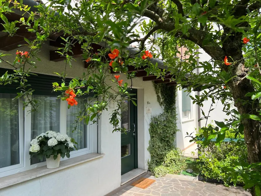 Tito's Gardenias - Image 1