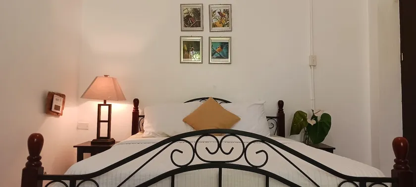 Aviary 1 - Image 1