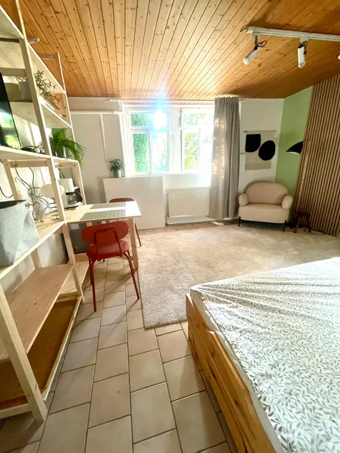 1-room apartment in Art Nouveau villa in the old town - Image 1