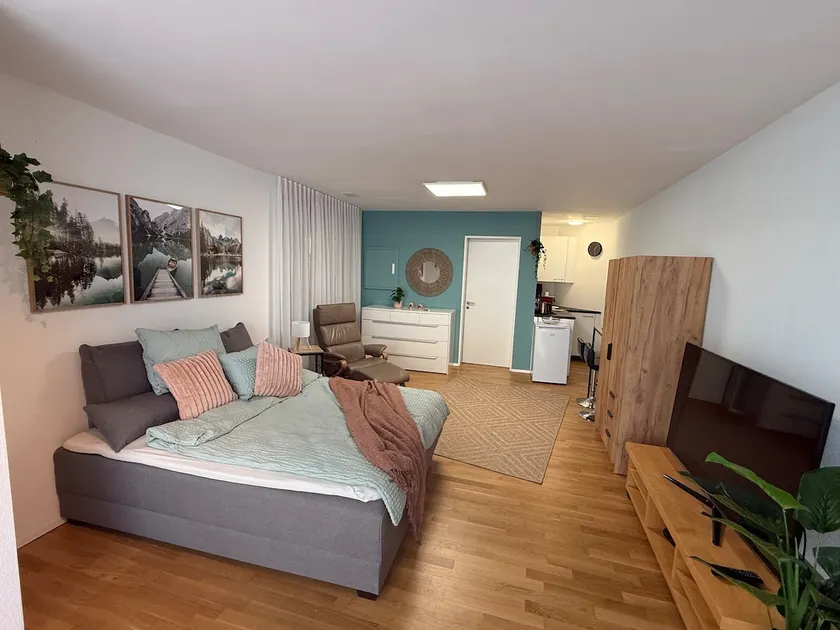 Charming 1.5-room studio in the city of Zurich - Image 1
