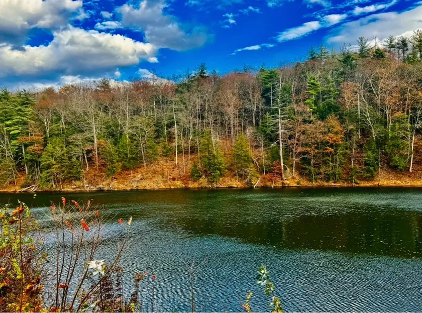 The Esopus Creek Charmer |waterfront|4 beds|HITS - Image 1