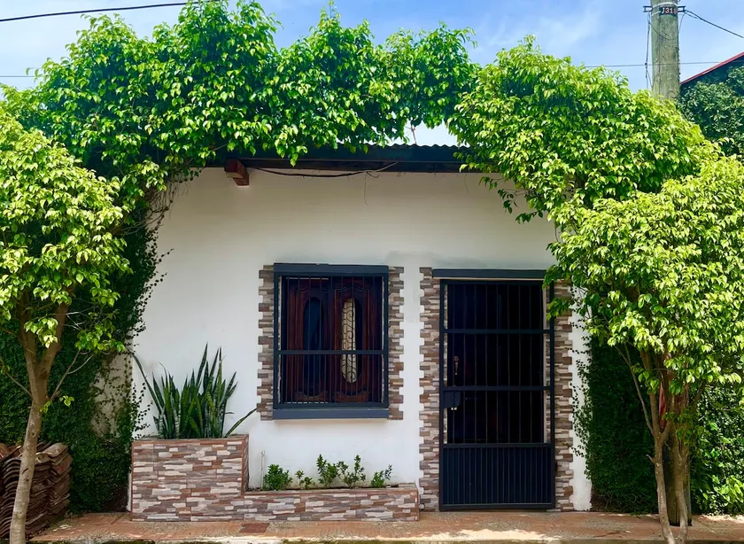 Tree Apartments | The Laureles - Image 1
