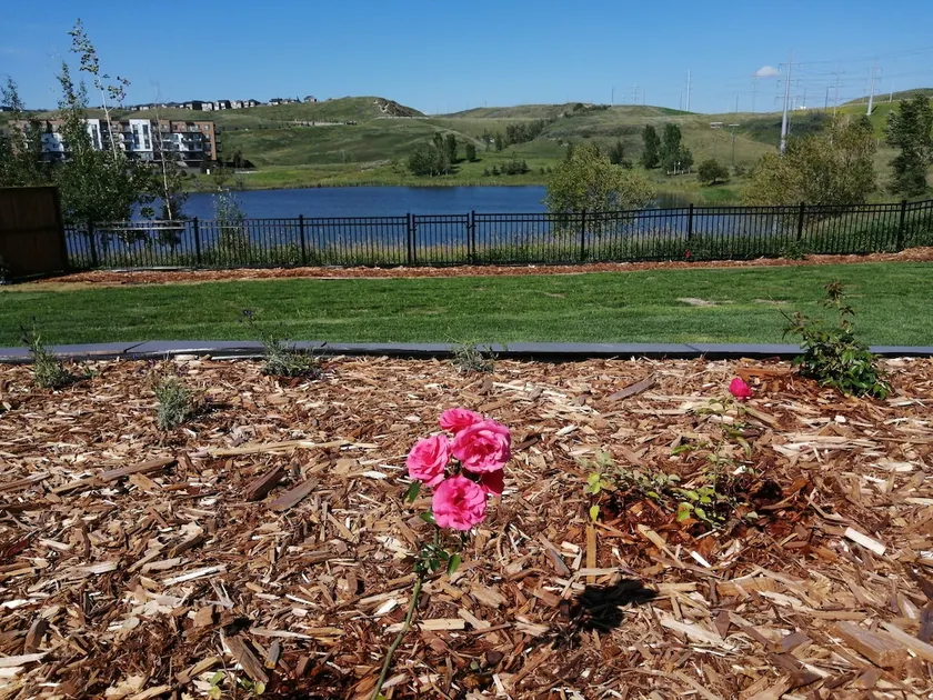 Waterfront /Spacious Backyard/Pets Welcome - Image 1
