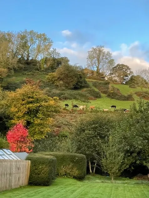 Scenic Devon village home close to beach - Image 1