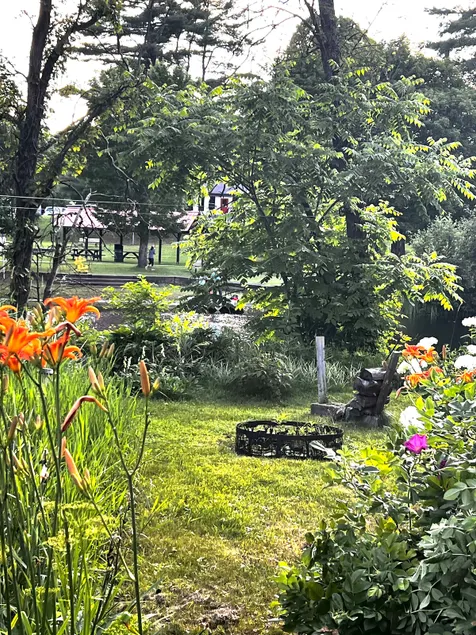 Peaceful Riverside home in town free parking - Image 1