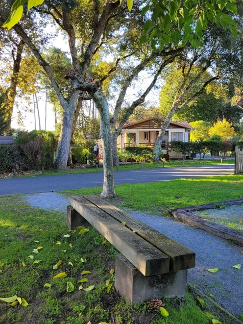Quiet family cottage with 2 bedrooms - Image 1