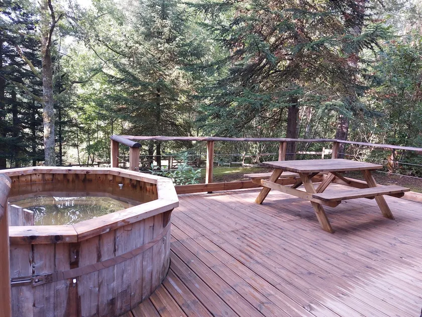 Forest retreat with a Nordic bath under the stars - Image 1