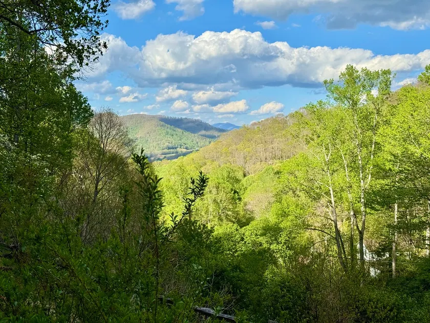 Mtn views~private and quiet~close to Burnsville DT - Image 1