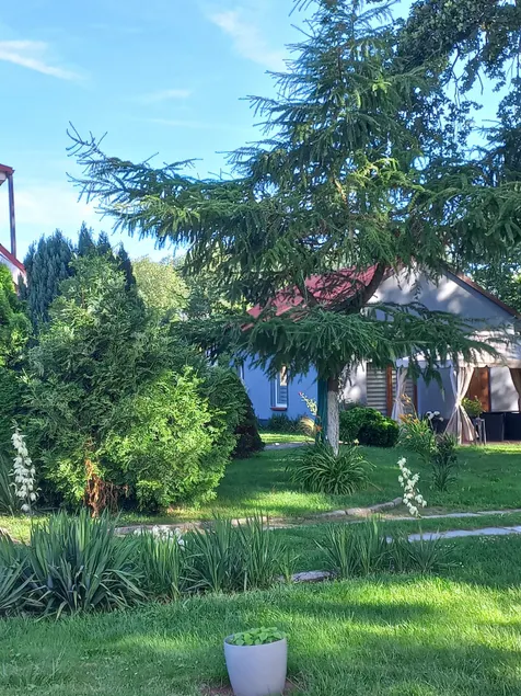 Accommodation Pod Dębami - Image 1