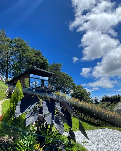 Romantic cabin with a jacuzzi and a unique landscape - Image 1