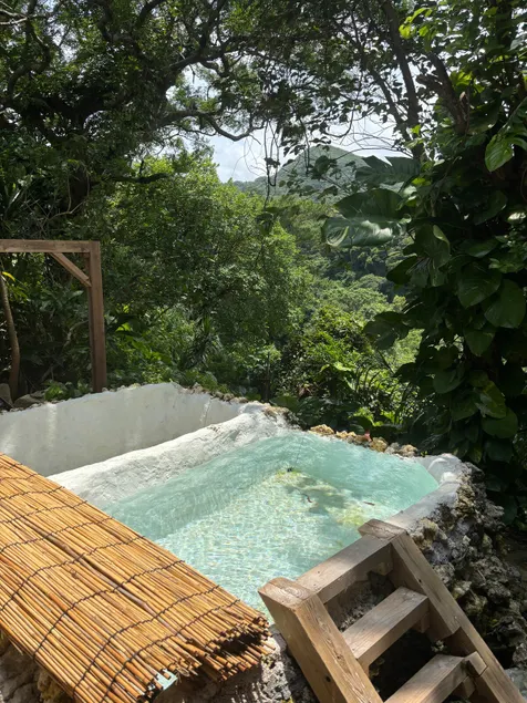 Sauna, Outdoor Bath & Farm Animals/Okinawa Villa - Image 1