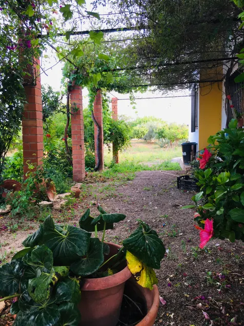 Finca Vera Mar - Image 1