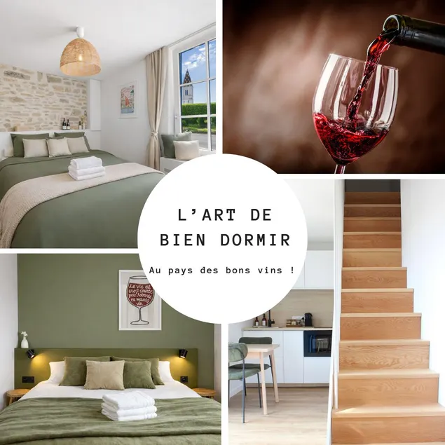 Air-conditioned duplex • Charming • In the heart of vineyards - Image 1
