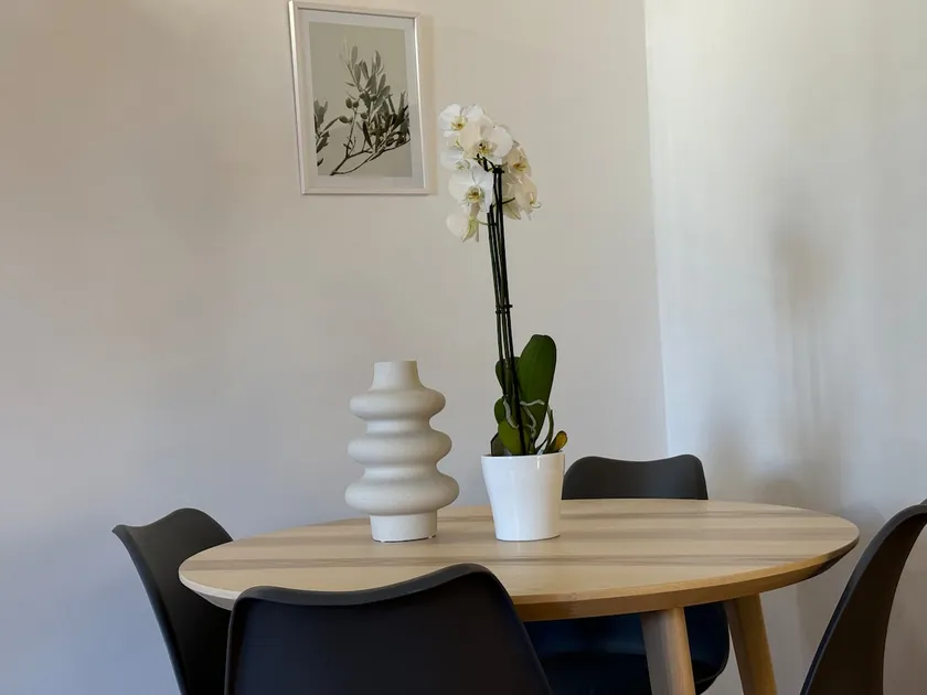 Loft in the center of Marino - Image 1
