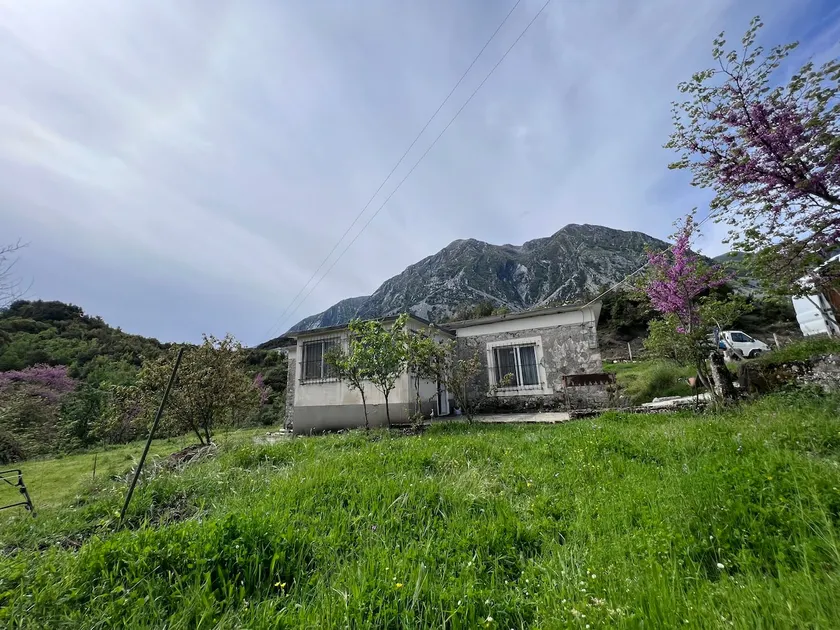 Peaceful 3-bedroom house and beautiful view - Image 1