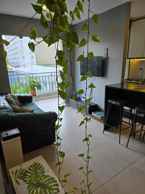 Apartment with suite and parking space 5 min from the Ipiranga Museum - Image 1