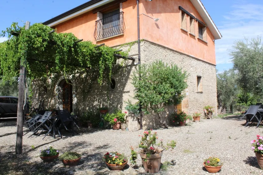 Antico Palmento - Image 1