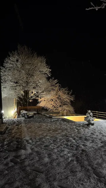 Marinaj Alpine villa 101 - Image 1