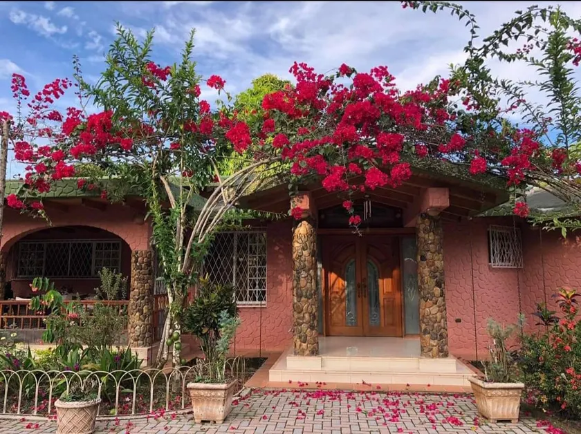 House surrounded by nature - Image 1