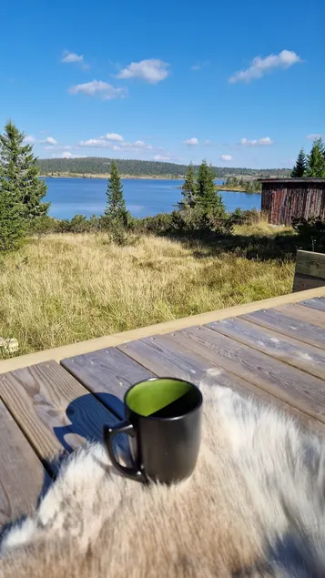 Melsjøen nature experiences - Image 1