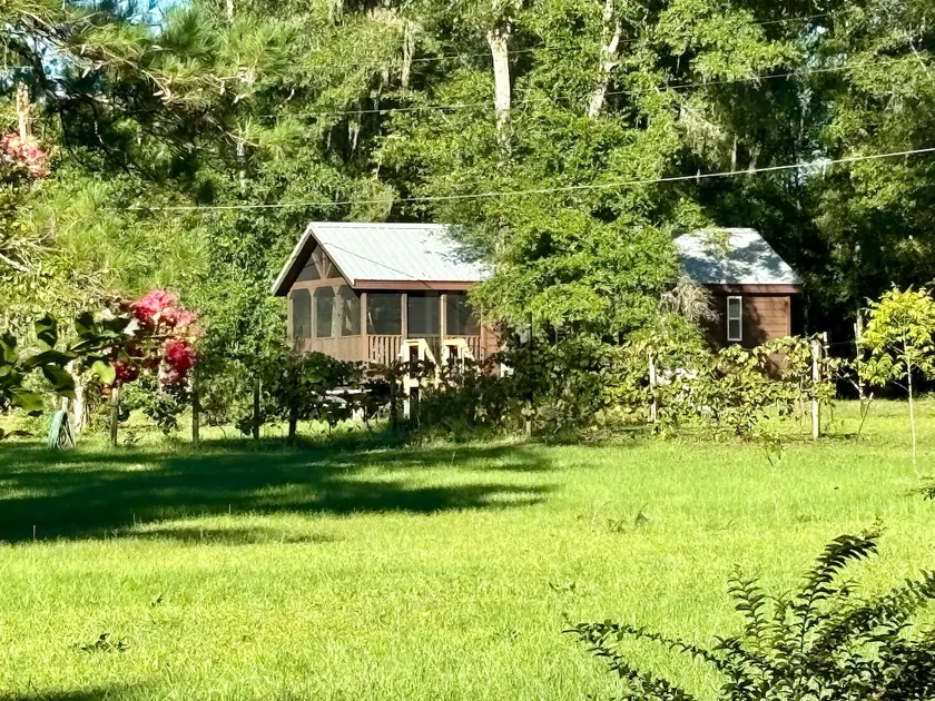 Twisted Pine Lake Cabin, secluded & near town - Image 1