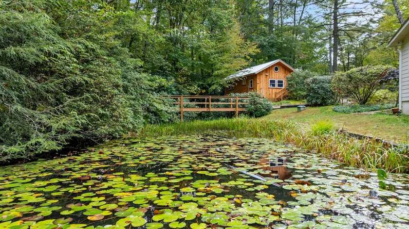 Baby Bear's Den, Tiny Paradise - Image 1