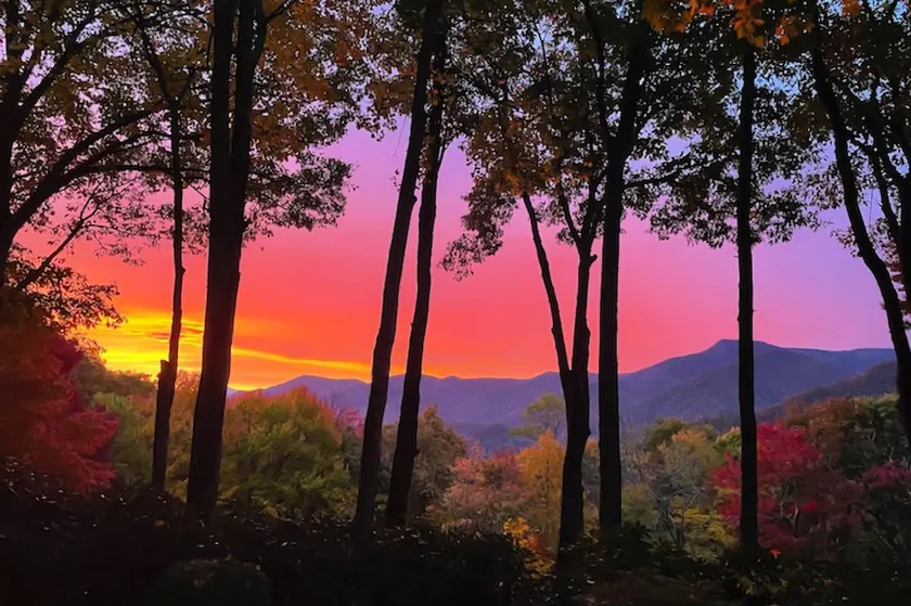 Sasha’s Hidden Creek Cabin-Magical Views, 12 Acres - Image 1