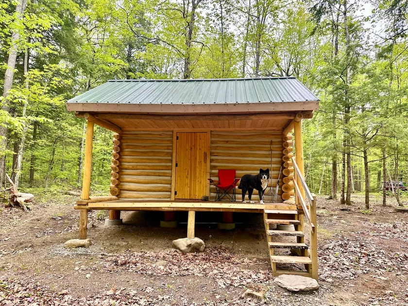 Eco/dog friendly solar cabin.40 acres on river - Image 1