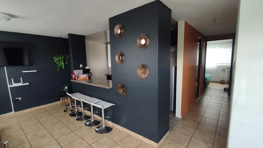 Comfortable apartment/parking/pet friendly/ Internet - Image 1