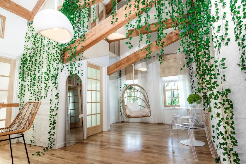 Designer Treehouse with Spa Bath - Image 1