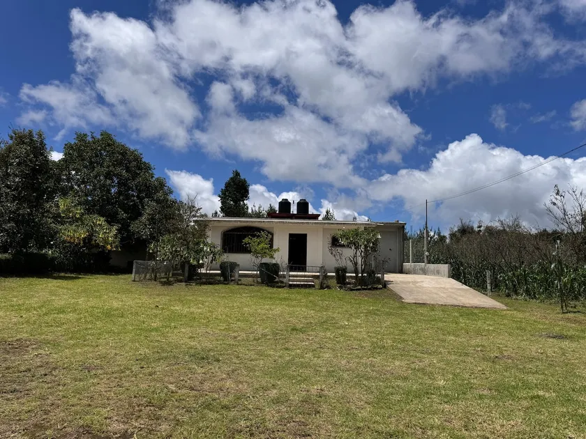 House surrounded by nature - Image 1
