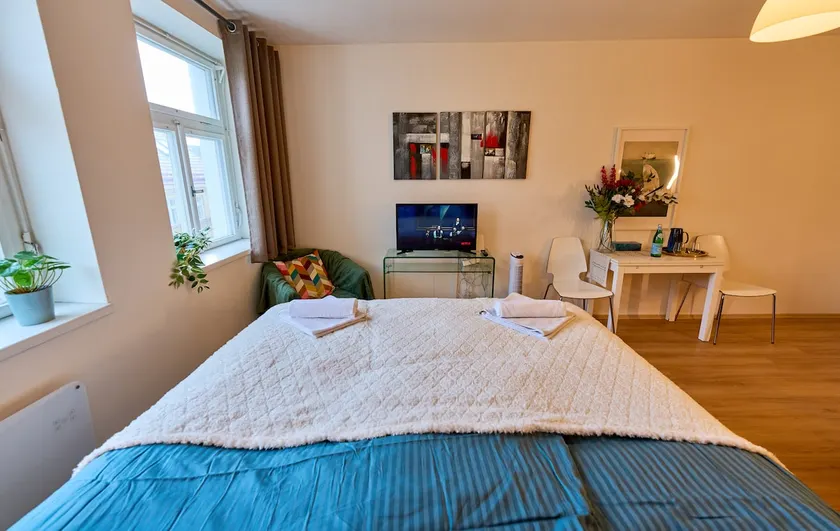Bright and spacious apartment for 2-4 people - Image 1