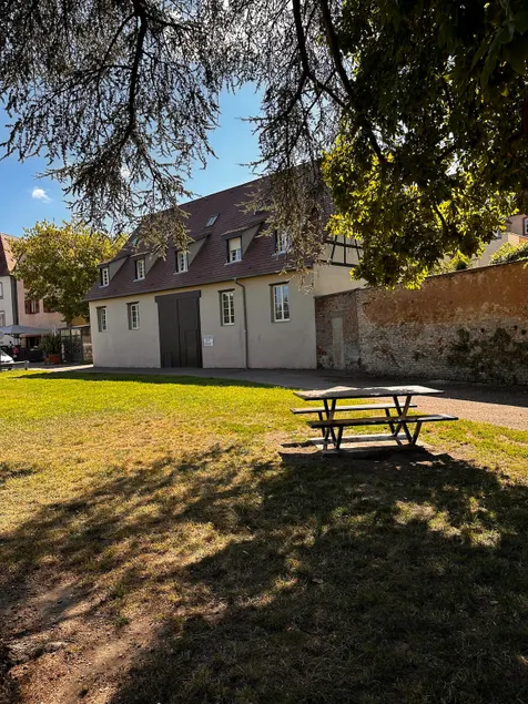 ”Cœur Alsace” in the very heart of the city, parking, all comforts - Image 1