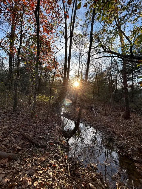 Tranquil cabin w/AC, 2 natural creeks and WIFI - Image 1