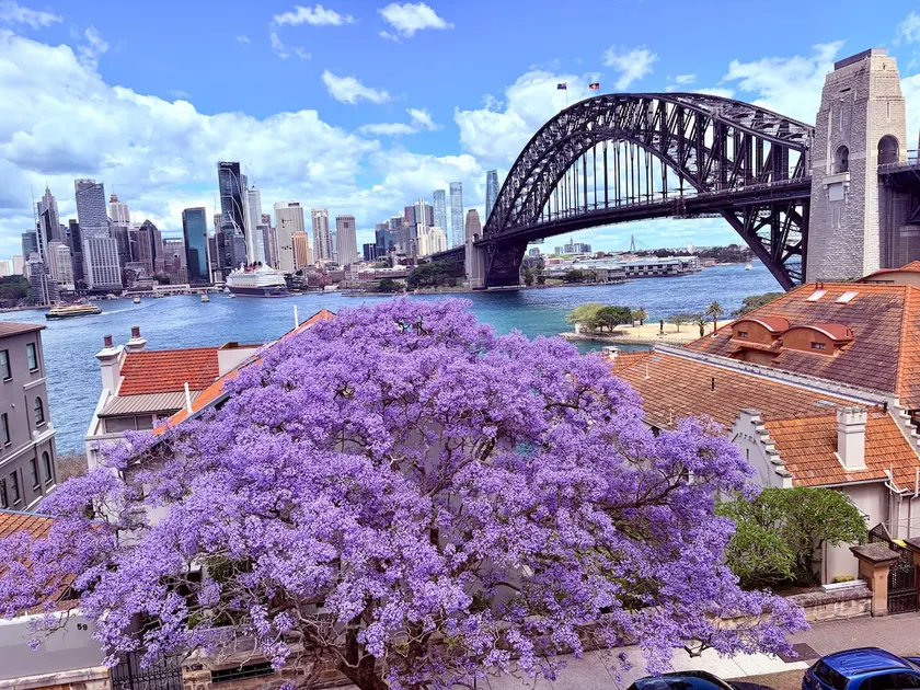 World Class HarbourBridge&OperaHouse View 2Bed Apt - Image 1