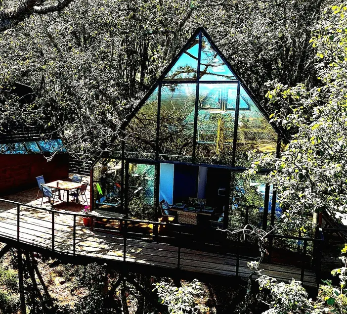 Pahuen Cabin (Punta del Bosque) - Image 1