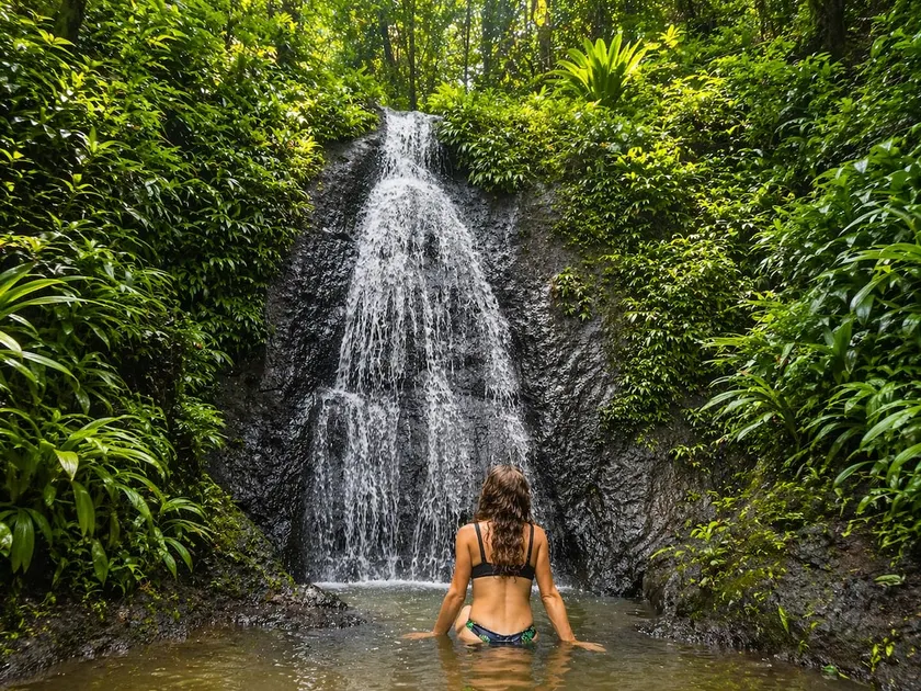Birdsong & Waterfalls Trail, Ocean, 100 Acre Farm - Image 1