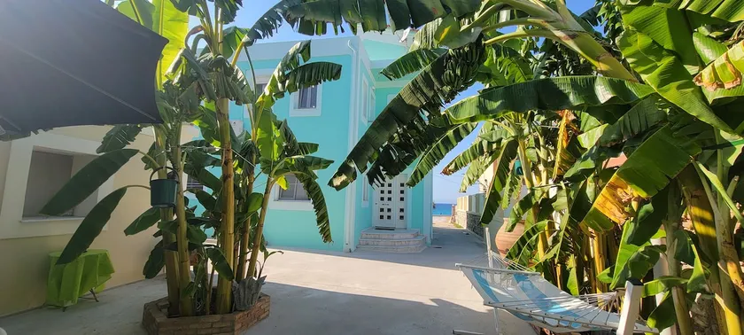 Dina's Tropical Island Escape - Image 1