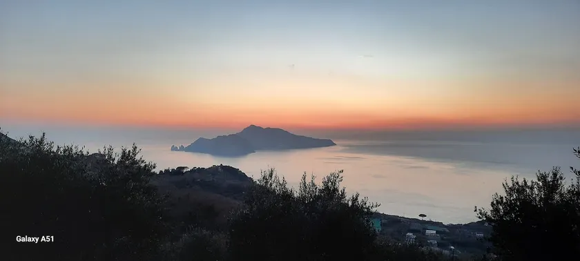 The Terrace overlooking the Gulf - Image 1