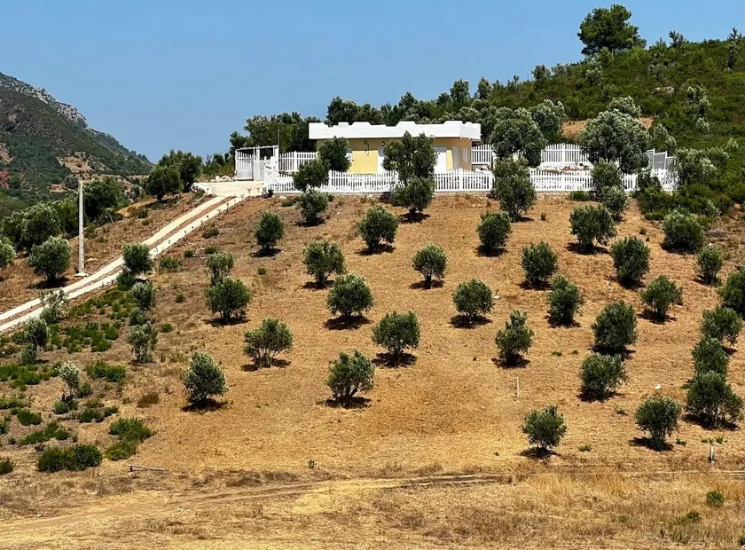 El Olivar - Casa Rural - Ain Zarka - عين الزرقاء - Image 1