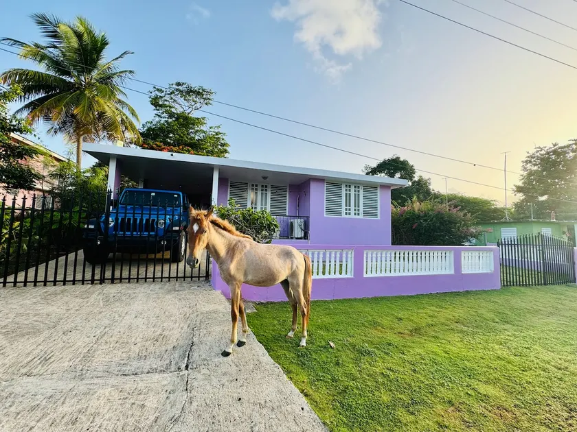 Purple Sunset - Walk to Malecon & Beaches - Image 1