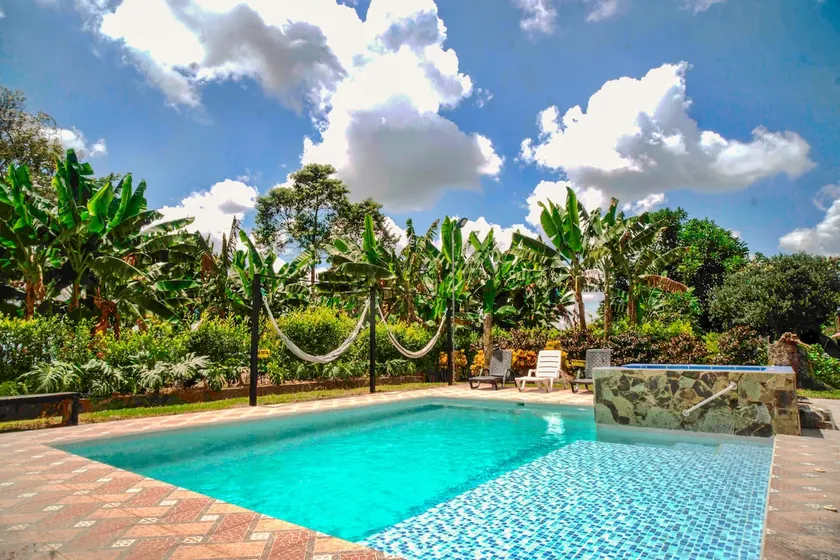 Coffee farm with pool and heated Jacuzzi - Image 1