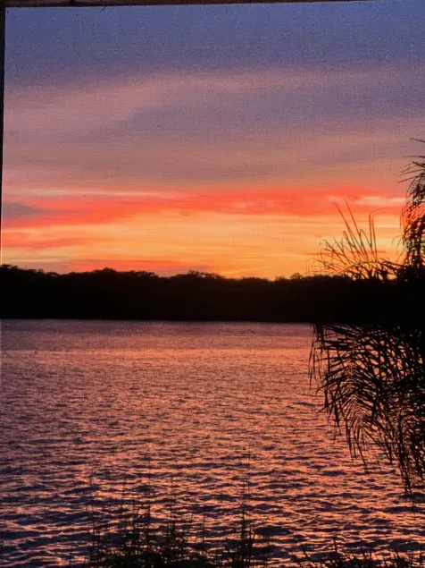 St John’s River Wonder - Image 1