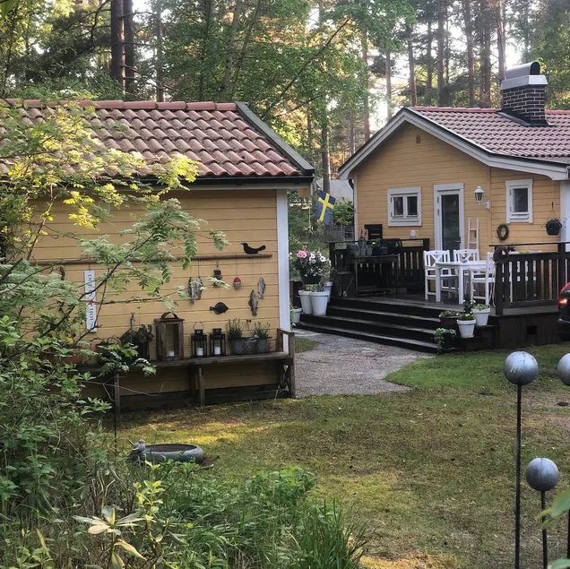Cabin in the pine forest - Image 1