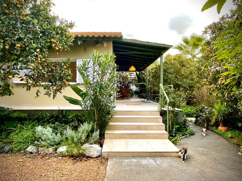 ”Kumquat Villa” Kalamata Beach - Image 1
