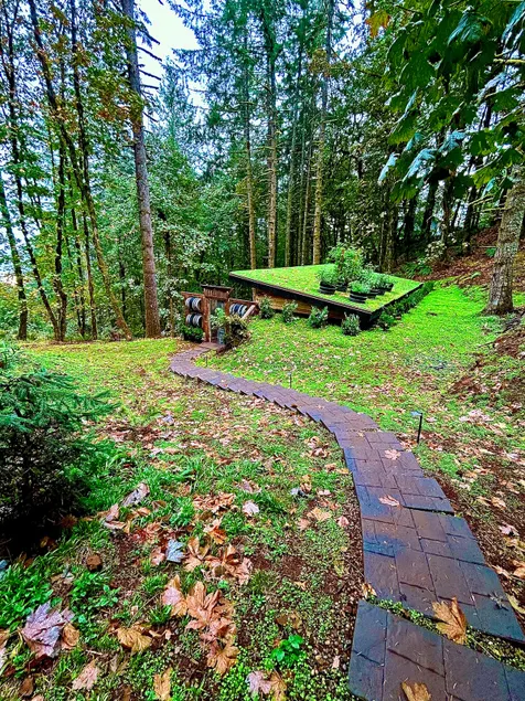 The Cellar (Jacuzzi,Sauna,Cold Plunge and Massage) - Image 1