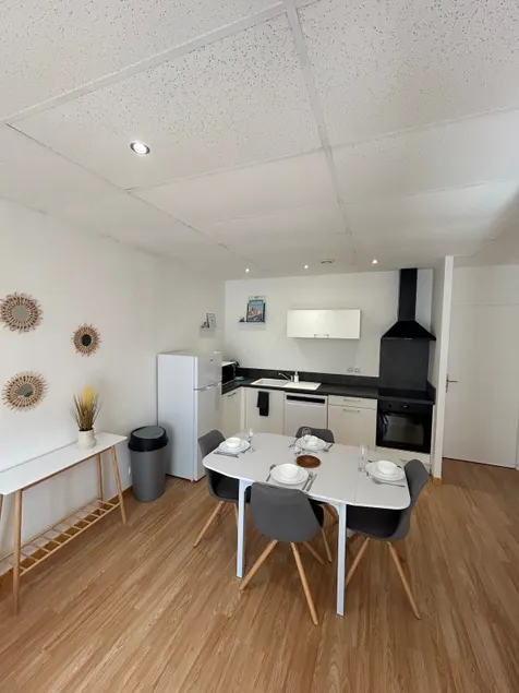 Large cozy apartment - Castres center - Image 1